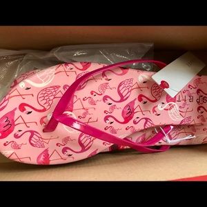 NEW MARKDOWN SALE! PARTY FLAMINGO PRINT SANDAL 💕